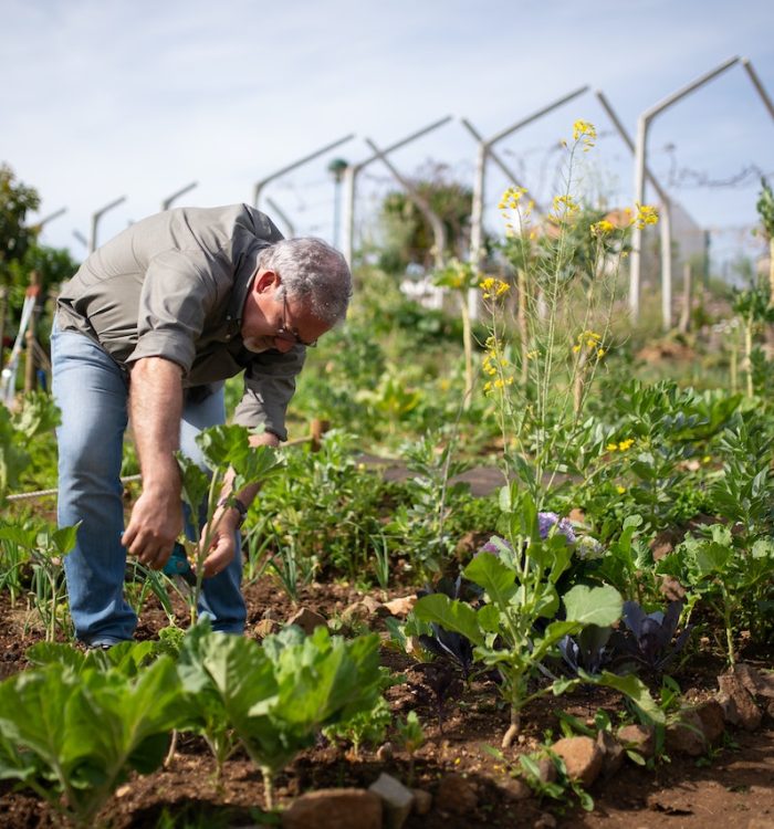 A Practical, Imaginative Guide to Every Aspect of Gardening: From Seed to Sensation